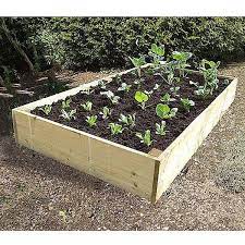 Vegetable Beds Raised Vegetable Bed