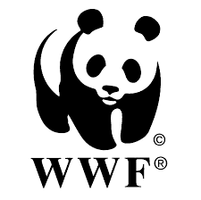 Image result for what animals have the wwf saved
