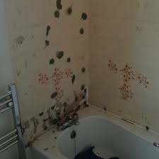 replacing bathroom cladding re use