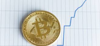 Bitcoin Price Chart Shows How Surpassing Golds Market Cap