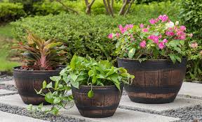 Best Flower Pots For Your Yard The