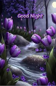 Pin by Arun on Good Night | Good night prayer, Good night blessings, Good  night flowers