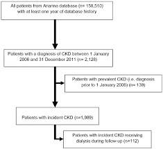 Flow Chart Of Ckd Patients Included In The Study