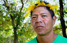 Links to further resources for studying guarani online. We Guarani Are Fighting For Our Sacred Land Survival International