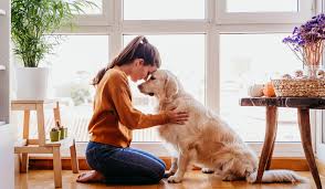 9 ways to tell your dogs you love them