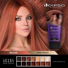 dipso super shine hair color wax 150ml