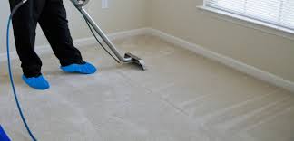carpet cleaning service in woodhaven