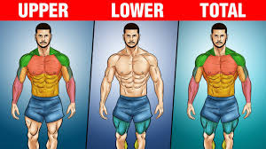 top 3 workout splits for muscle growth