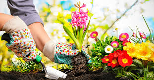 How To Create A Spring Garden Tips For