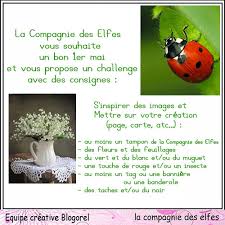 Photos de muguet avec coccinelle : Challenge De Mai Autour Des Petites Clochettes Du Muguet Blog La Compagnie Des Elfes Fr