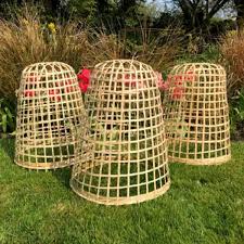 bosmere english garden 11 in dia x 16 in h natural woven bamboo plant protection bell cloche 3 pack