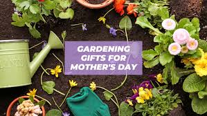 44 Awesome Gardening Gifts For Mother S