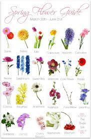Each must be individually wired or placed onto a special holder before it can be used in a bouquet or boutonniere. Spring Flower Guide Are You Planning A Spring Wedding If So This Spring Flower Guide Is A Must Have Wedding Flower Guide Flower Guide Spring Flowers