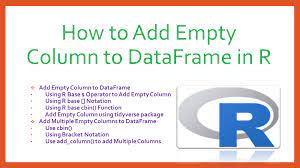 add empty column to dataframe in r