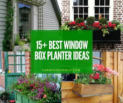 15 Best Window Box Planter Ideas