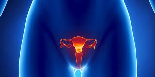 Struktur luar dari sistem reproduksi pria terdiri dari penis, skrotum (kantung zakar) dan testis (buah zakar). 7 Penyakit Yang Mengintai Sistem Reproduksi Wanita Halaman All Kompas Com