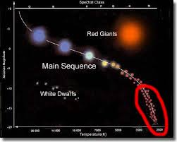 Red And Brown Dwarfs