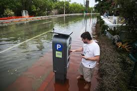 Miami Prepares For King Tide Flooding Miami New Times