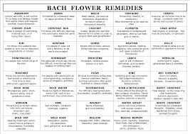 Bach Flower Remedies Bach Flowers Holistic Remedies