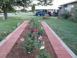 My Front Yard Rose Bed