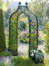 Freestanding Brighton Garden Arch With