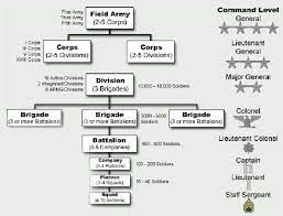 organizational chart types meaning