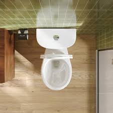Dual Flush Round Toilet Map Flush 1000g