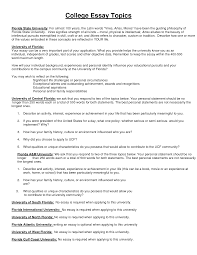 Honors College Essay Examples Sample Essays For High School