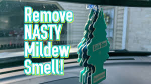 removing nasty mildew smell from your
