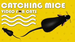 cat games catching mice