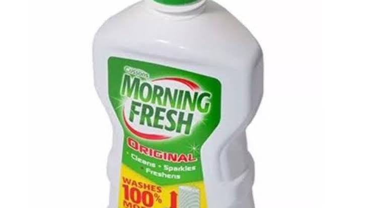 how to make liquid soap like morning fresh