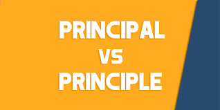 prinl vs principle how to use