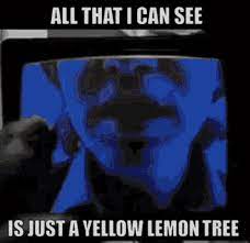 lemon tree fools garden gif lemon