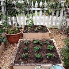 great raised bed options diy network