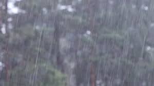 rain background stock video fooe