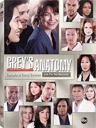 A medical drama that's heavy on the drama, grey's anatomy follows the personal and professional lives of the doctors of seattle's grace hospital. Grey S Anatomy Season 10 Wikipedia