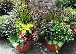 How To Create Fall Container Gardens