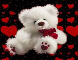 teddy bear cute red love hd