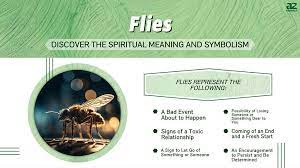 flies discover the spiritual meaning