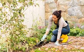 Fall Gardening Tips Maintenance