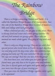 Share the light of warmth and appreciation with those you love we may earn commission from links on this page, but we only recommend products we back. Image Result For Rainbow Bridge Poem For Dogs Printable Rainbow Bridge Dog Rainbow Bridge Poem Dog Heaven