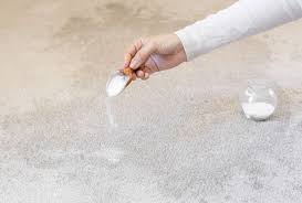 get water out of carpet and prevent damage