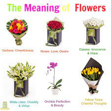 the meaning of giving flowers
