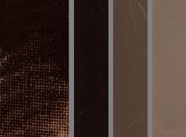 Raw Umber Color Chart Raw Umber Tints In 2019 Bedroom