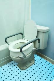 raised toilet seat with arms elongated