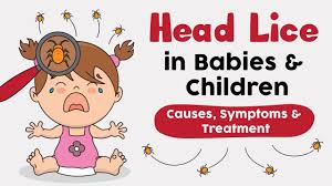 head lice in infants children