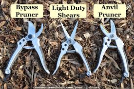 pruning shears which one to choose