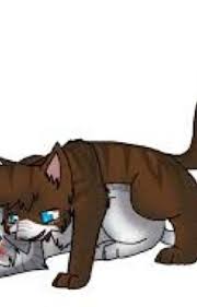 Who would be a better mate for firestar? Warrior Cats Mating