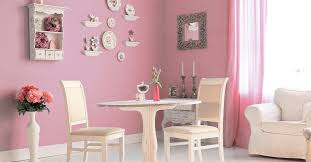 Decor And Pink Paint Colour Ideas