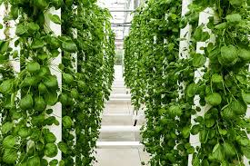greenhouse business start up costs